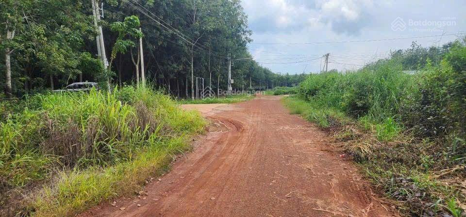 Bất động sản tại Bình Dương - ảnh 1