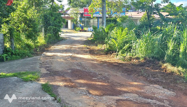 Bất động sản tại Vĩnh Phúc - ảnh 1