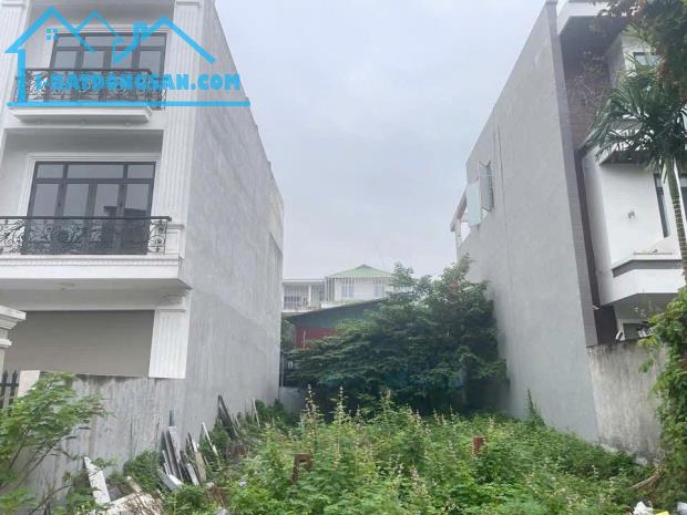 Bất động sản tại Hải Phòng - ảnh 1