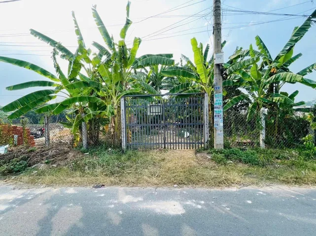 Bất động sản tại TP. Hồ Chí Minh - ảnh 1