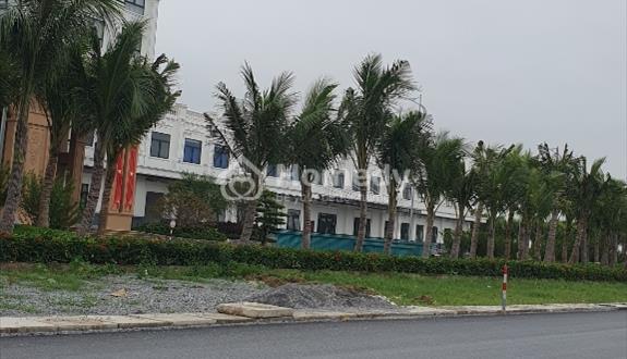 Bất động sản tại Bình Dương - ảnh 1
