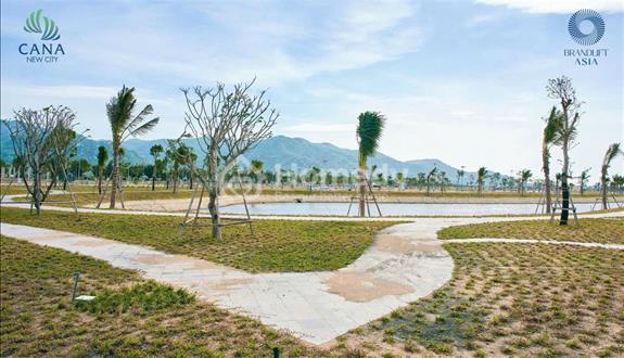 Bất động sản tại Ninh Thuận - ảnh 1