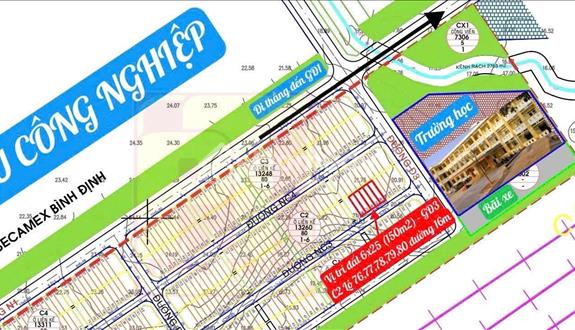 Bất động sản tại Bình Định - ảnh 1