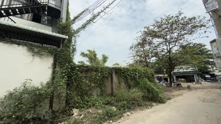 Bất động sản tại Bình Dương - ảnh 1