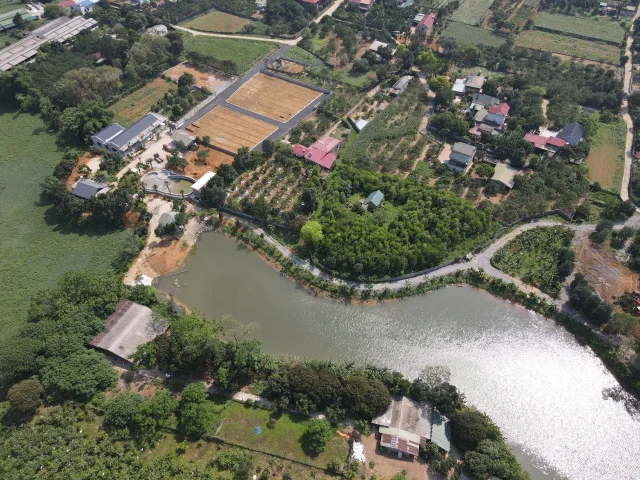 Bất động sản tại Phú Thọ - ảnh 1