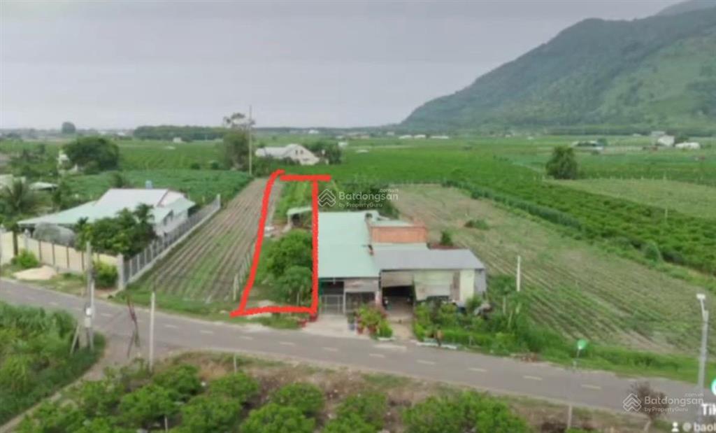 Bất động sản tại Tây Ninh - ảnh 1