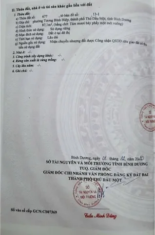 Bất động sản tại Bình Dương - ảnh 1