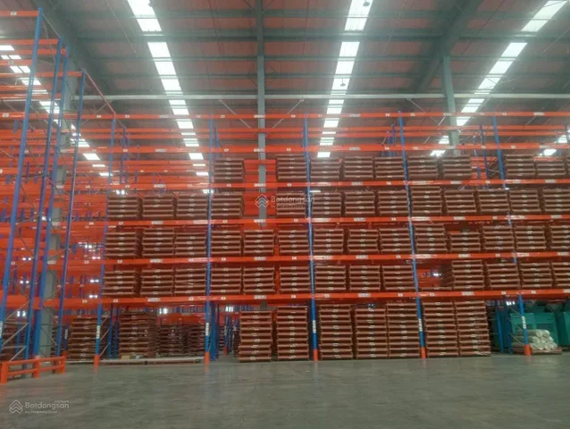 Bất động sản tại Bình Dương - ảnh 1