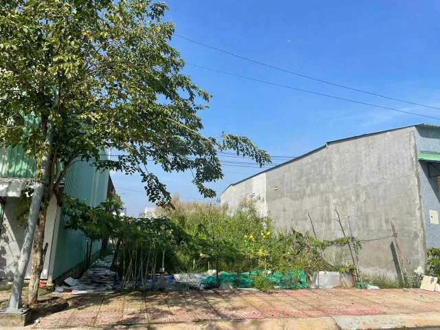 Bất động sản tại Tây Ninh - ảnh 1