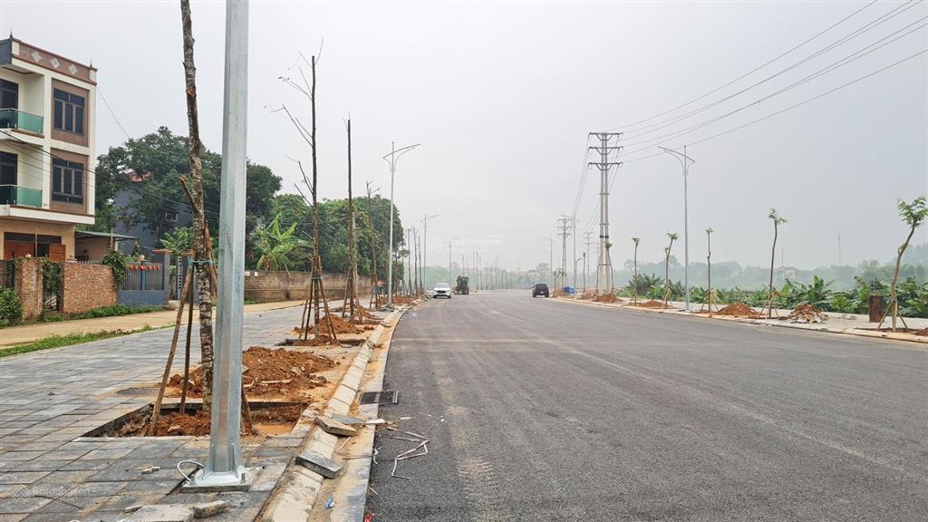 Bất động sản tại Phú Thọ - ảnh 1