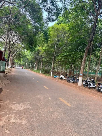 Bất động sản tại Đắk Lắk - ảnh 1