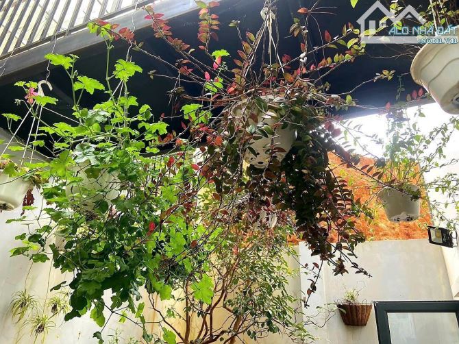 Bất động sản tại Lâm Đồng - ảnh 1