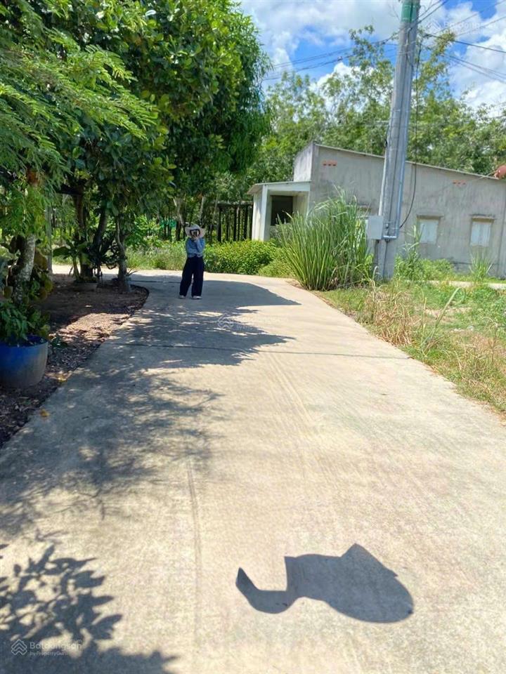 Bất động sản tại Bình Dương - ảnh 1