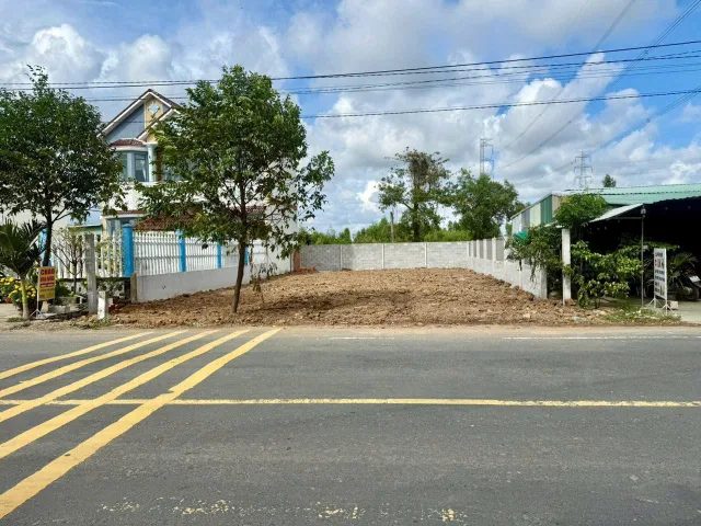 Bất động sản tại Long An - ảnh 1