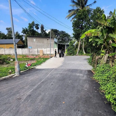 Bất động sản tại Bình Dương - ảnh 1