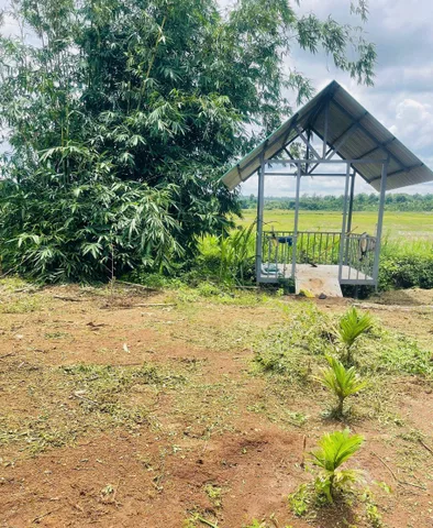 Bất động sản tại Đắk Lắk - ảnh 1