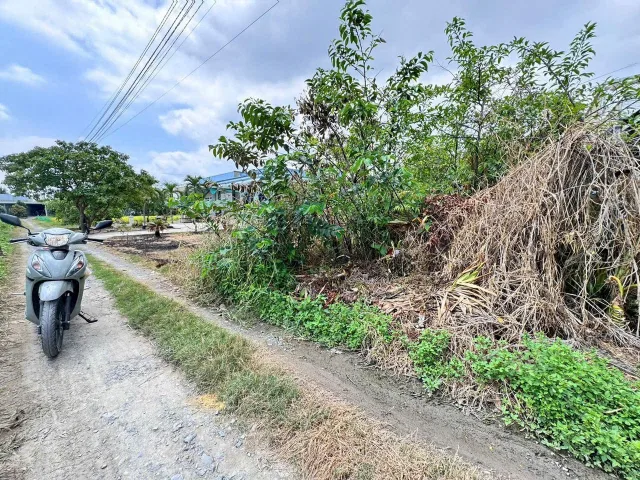 Bất động sản tại Long An - ảnh 1