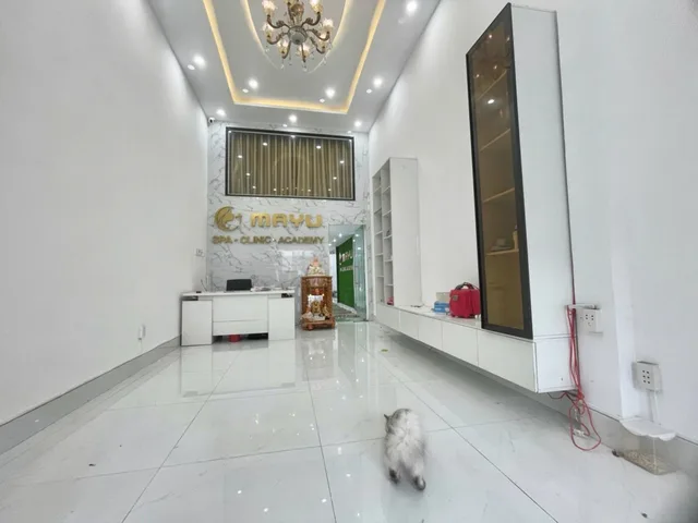 Bất động sản tại Bình Dương - ảnh 1