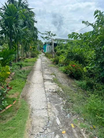 Bất động sản tại Long An - ảnh 1