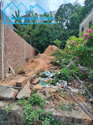 Bất động sản tại Đà Nẵng - ảnh 1