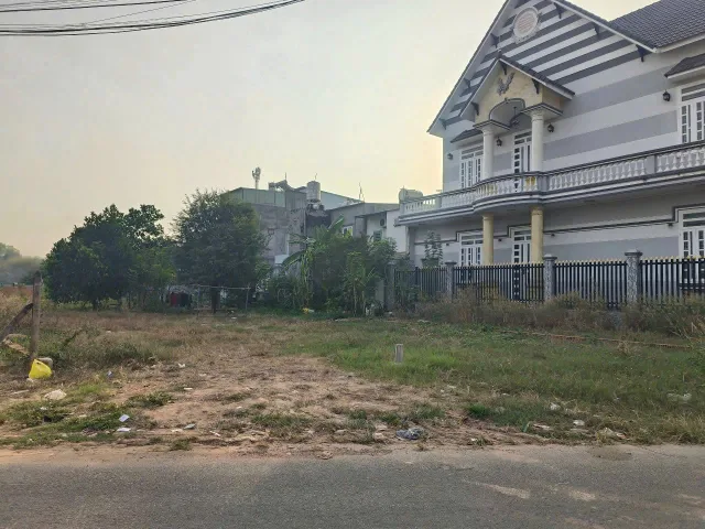 Bất động sản tại Bình Dương - ảnh 1