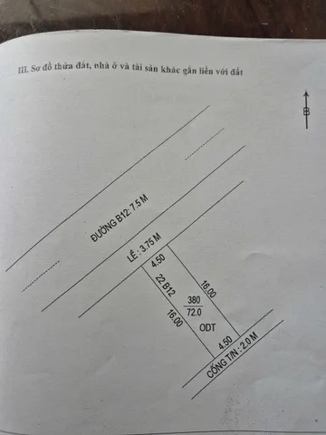 Bất động sản tại Cần Thơ - ảnh 1