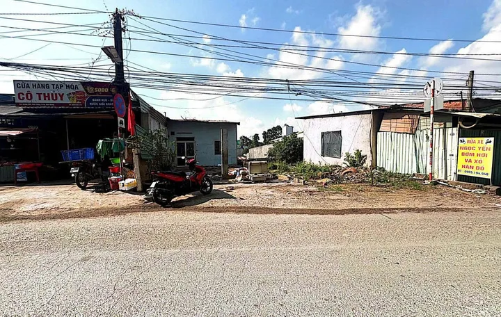 Bất động sản tại Bình Dương - ảnh 1