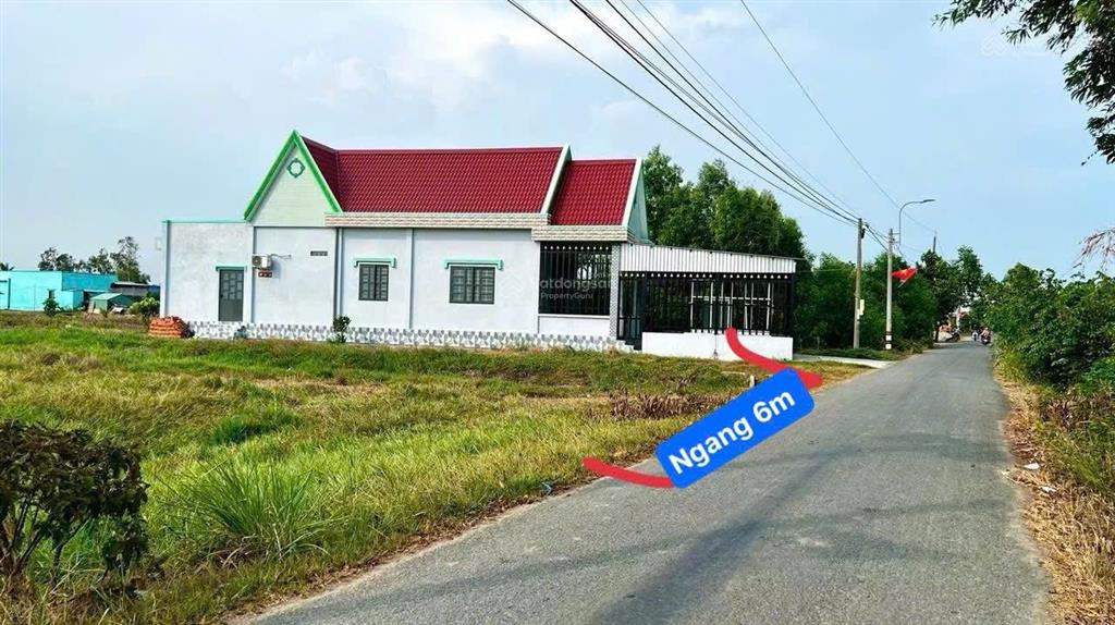 Bất động sản tại Long An - ảnh 1
