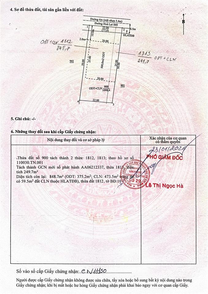 Bất động sản tại Bình Dương - ảnh 1