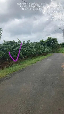 Bất động sản tại Bà Rịa - Vũng Tàu - ảnh 1