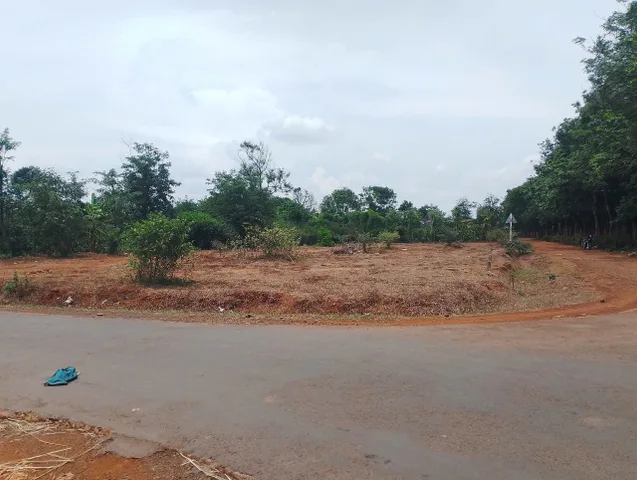 Bất động sản tại Đắk Lắk - ảnh 1