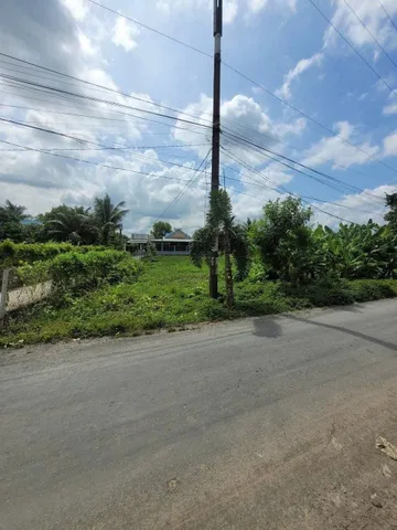 Bất động sản tại Long An - ảnh 1