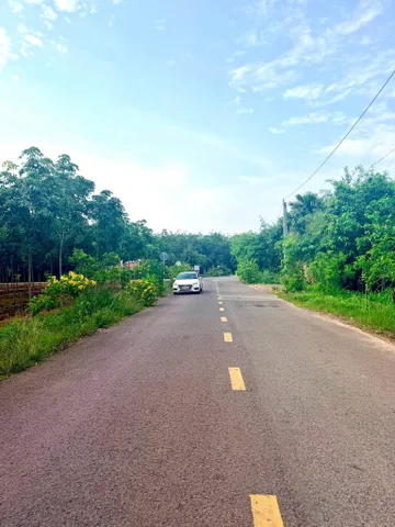 Bất động sản tại Bình Dương - ảnh 1