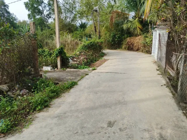 Bất động sản tại Khánh Hòa - ảnh 1