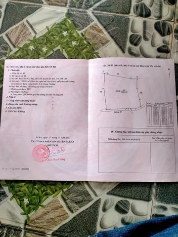 Bất động sản tại Đắk Lắk - ảnh 1