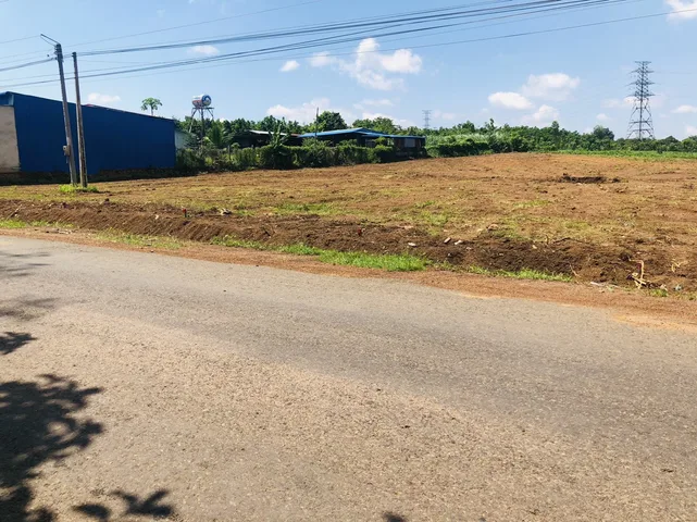 Bất động sản tại Bình Dương - ảnh 1