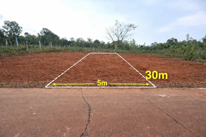 Bất động sản tại Đắk Lắk - ảnh 1