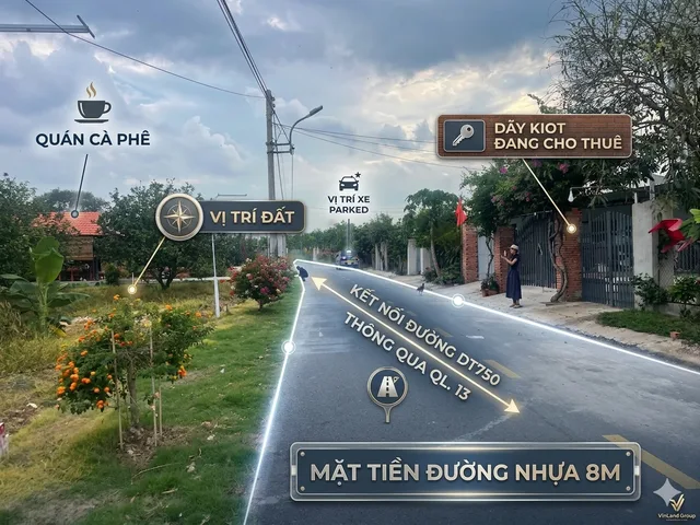Bất động sản tại Bình Dương - ảnh 1