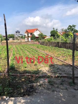 Bất động sản tại Bắc Ninh - ảnh 1