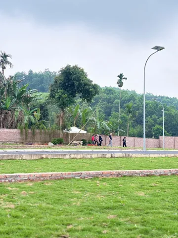 Bất động sản tại Phú Thọ - ảnh 1
