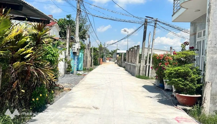 Bất động sản tại Long An - ảnh 1