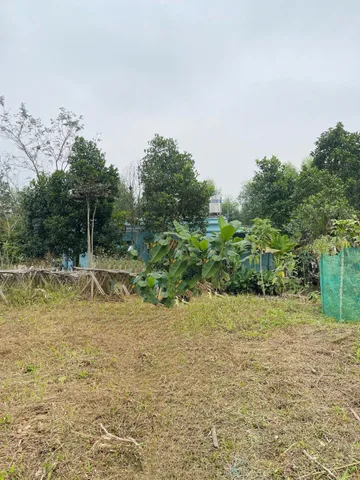 Bất động sản tại Phú Thọ - ảnh 1