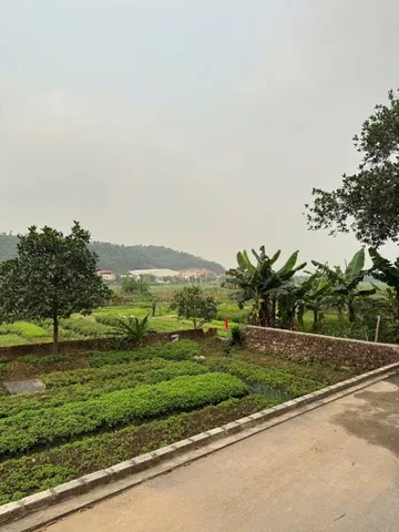 Bất động sản tại Bắc Ninh - ảnh 1