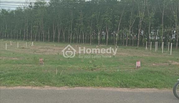 Bất động sản tại Tây Ninh - ảnh 1