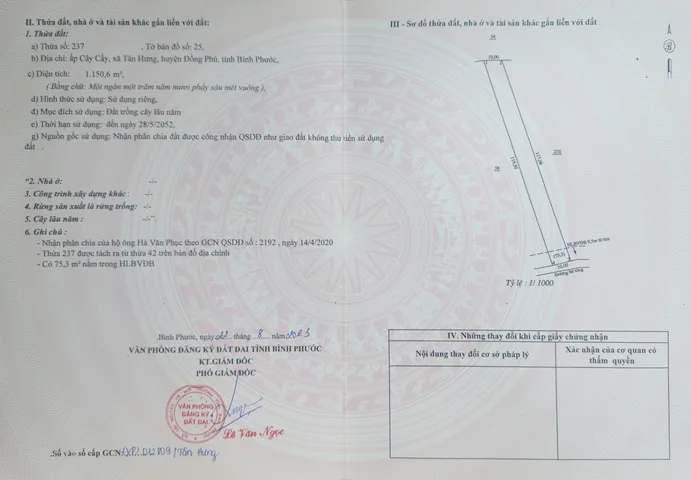 Bất động sản tại Bình Phước - ảnh 1
