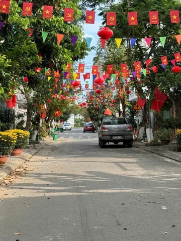 Bất động sản tại Đà Nẵng - ảnh 1