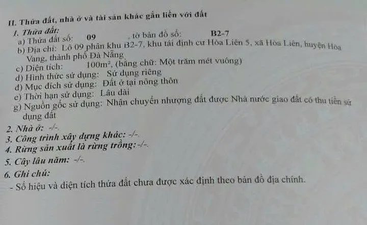 Bất động sản tại Đà Nẵng - ảnh 1