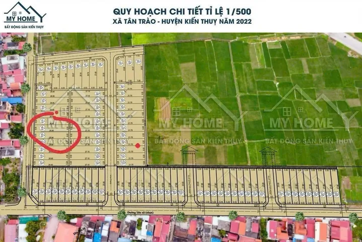 Bất động sản tại Hải Phòng - ảnh 1