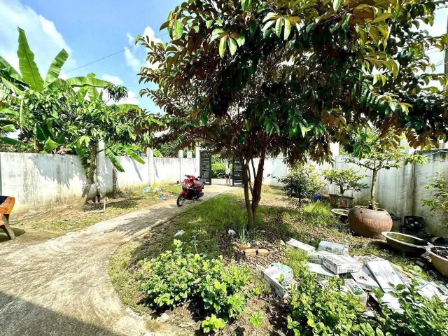 Bất động sản tại Long An - ảnh 1