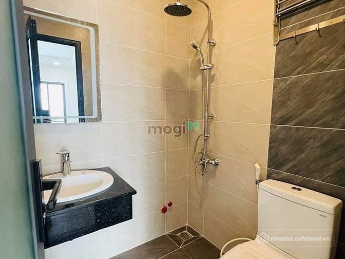 Bất động sản tại TP. Hồ Chí Minh - ảnh 1